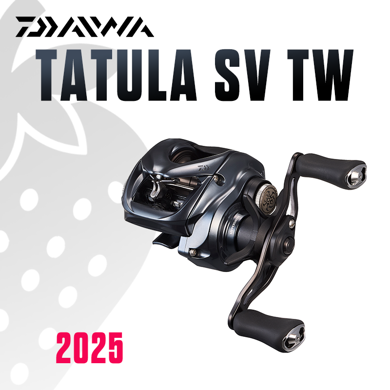 Daiwa Reel Bg - DAIWA 2025 TATULA SV TW100 Reel
