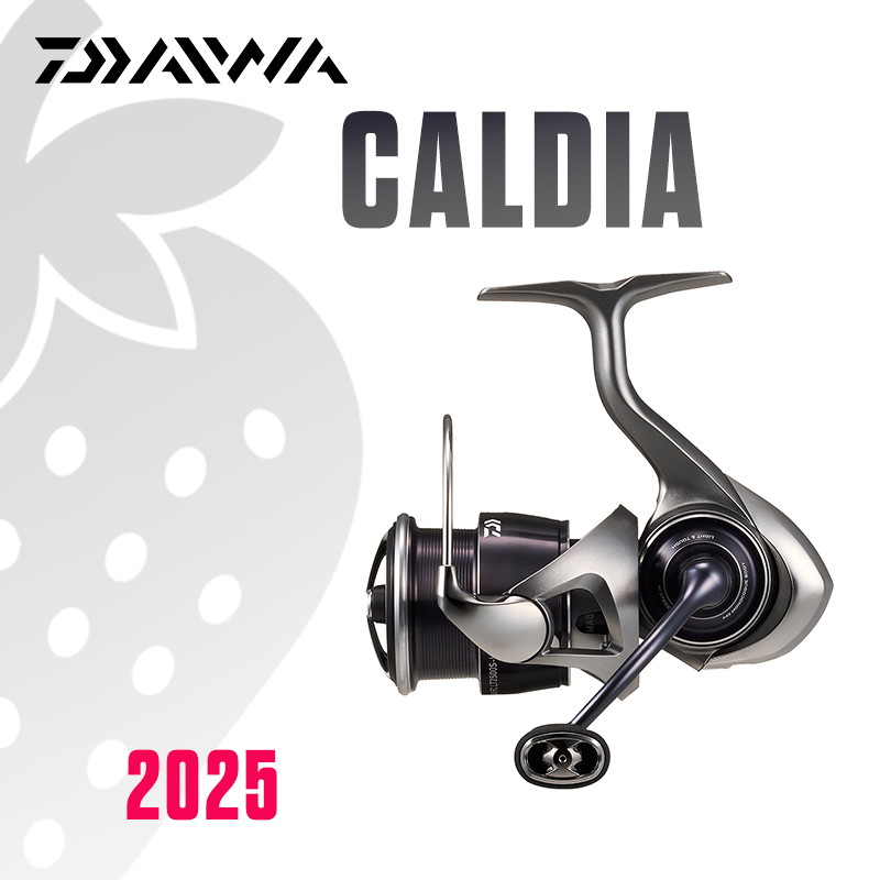 DAIWA 2025 CALDIA LT Reel Panc - Daiwa Reel Bg ulasan dan harga