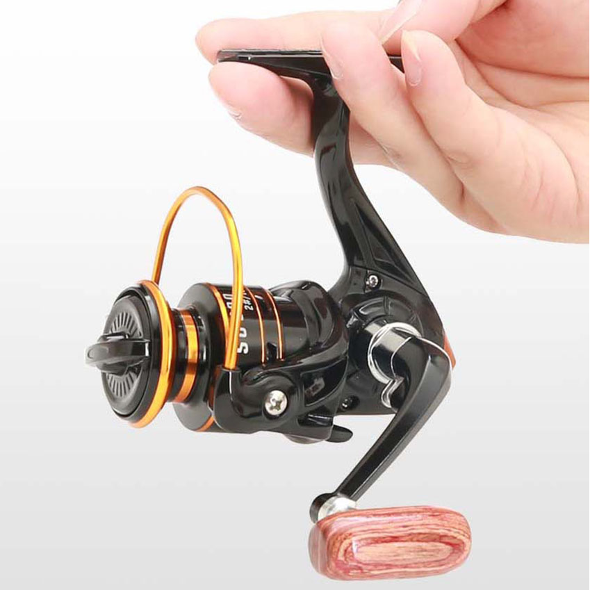 Reel Pancing Spinning Seri 800 - Daiwa Reel Bg ulasan dan harga