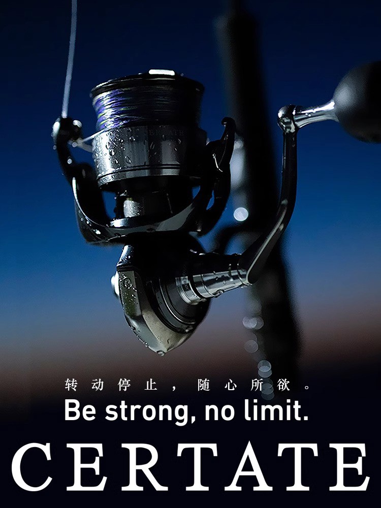 DAIWA CERTATE gulungan pancing - Daiwa Reel Bg ulasan dan harga